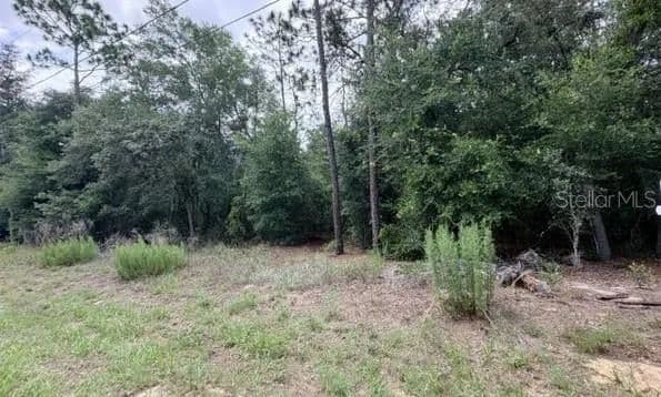 0.22 Acres of Land for Sale in Inverness, Florida - Inverness, Florida, 34453