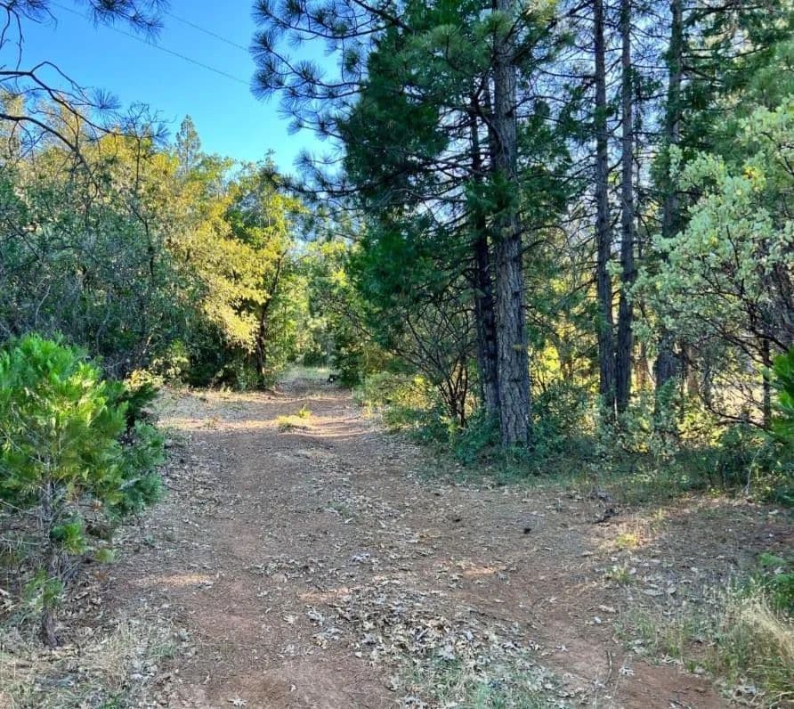 Vacant Land in Brownsville - Brownsville, California, 95919