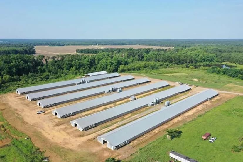 Vina Broiler Farm – Six House Farm Located in Colquitt County, Georgia