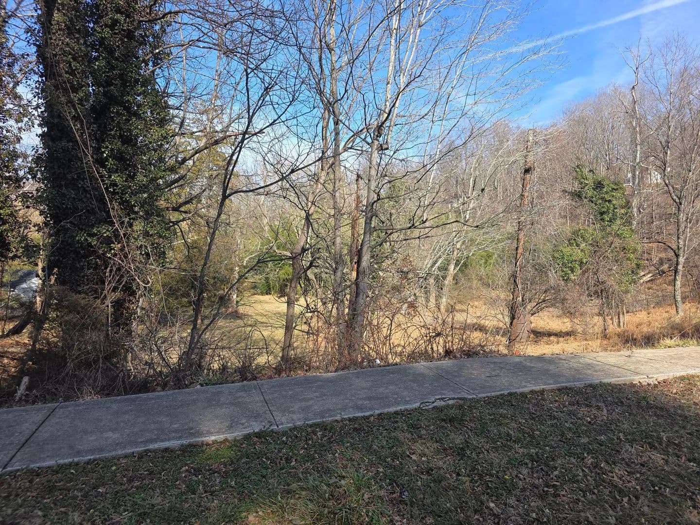 Vacant Land (0-10 Acres) in Lynchburg - Lynchburg, Virginia, 24501