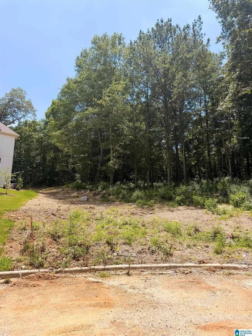Property from 248 MOUNTAIN LAKE TRAIL #22 - KW - Alabaster, Alabama, 35007