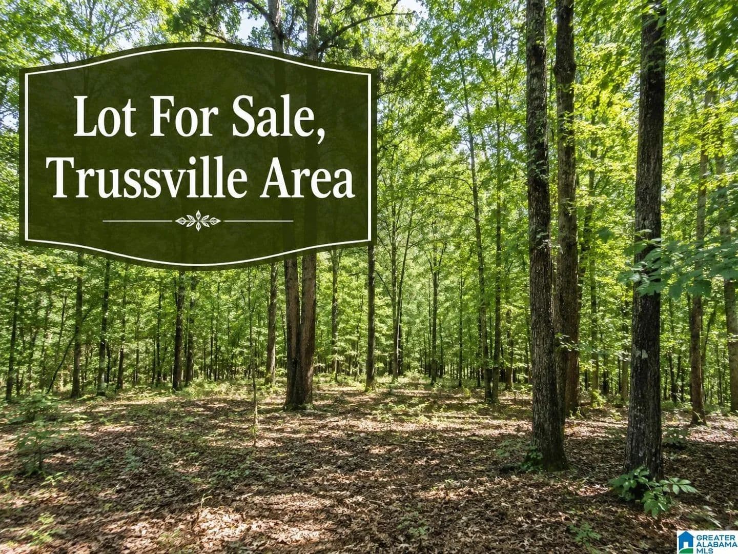Property from 3233 ROBERT LEE ROAD #LOTS 8&9 - KW - Trussville, Alabama, 35173