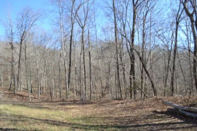 10.85 AC W/ A CREEK / MTN VIEWS / SOIL TESTED / UTILITIES AVAIL / BUILDING SITES