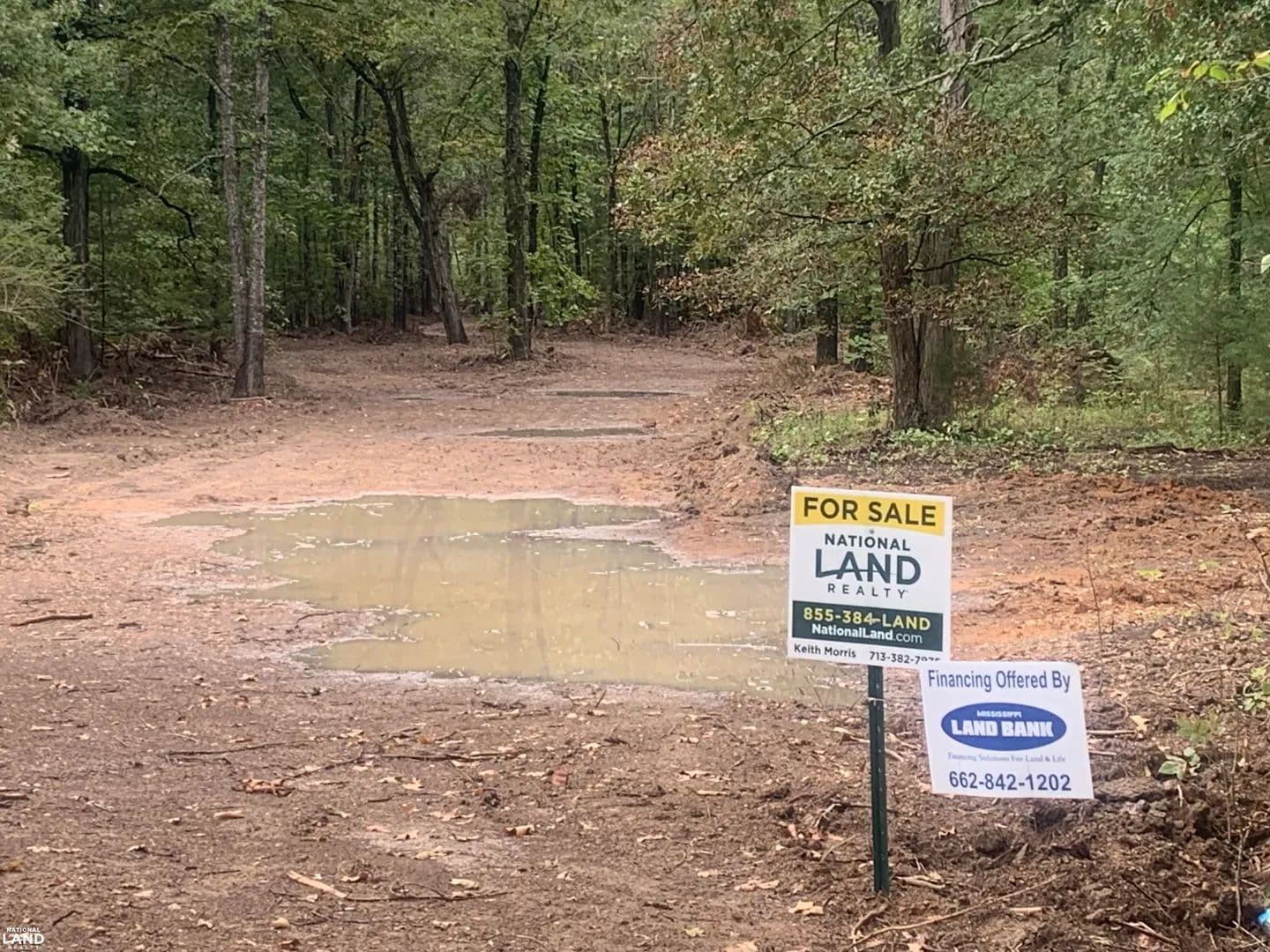 South Pontotoc Timber and Development - Pontotoc, Mississippi, 38863