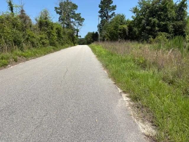 Property from Tbd Boston Wells Road - KW - Alcolu, South Carolina, 29001