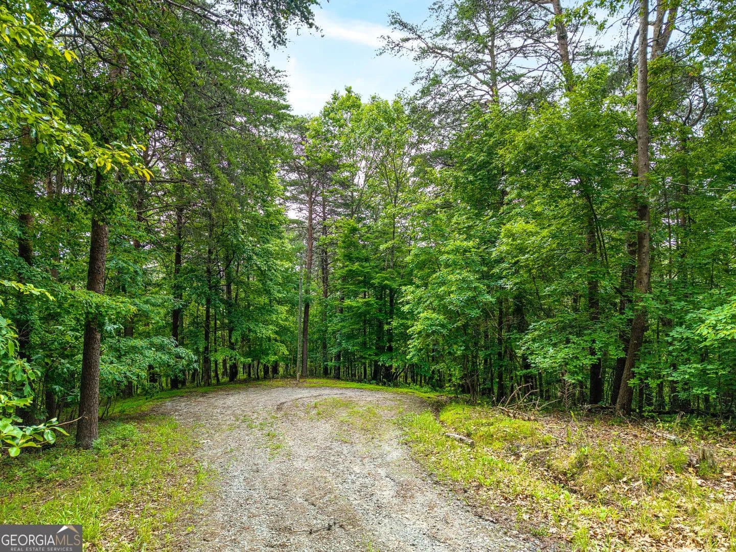 Property from 1332 Birch Lane NE - KW - Ranger, Georgia, 30734