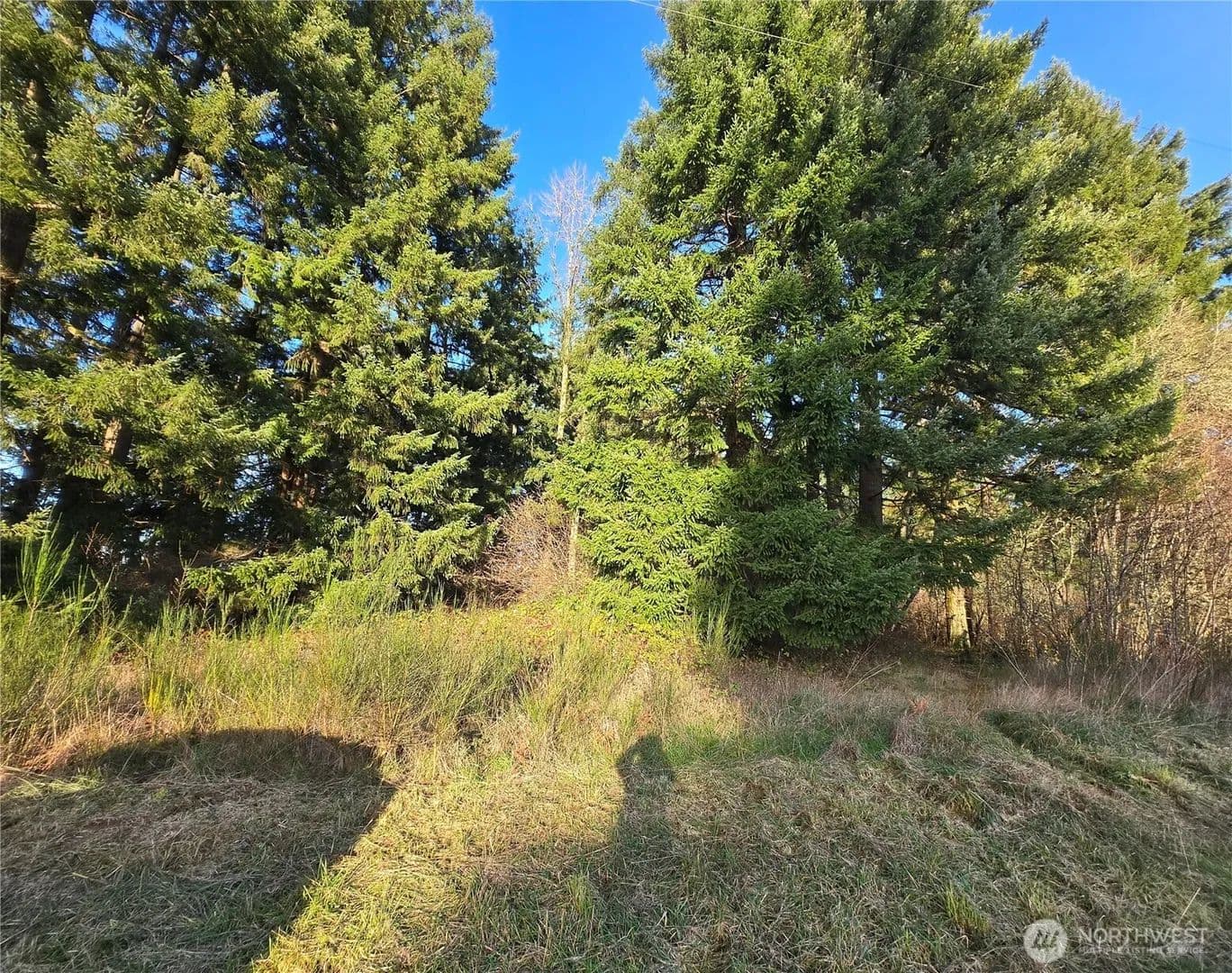 Land -Single Family Acreage in Chehalis - Chehalis, Washington, 98532