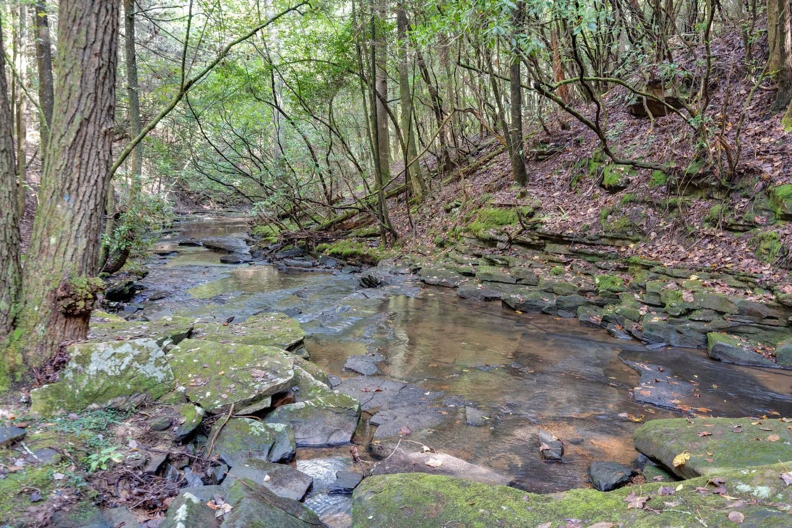 Property from 308 Timberwood Trc - KW - Monteagle, Tennessee, 37356