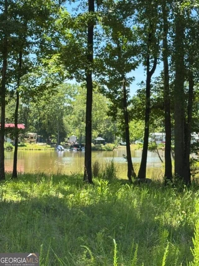 Land for Sale in Cedar Bluff, Alabama - Cedar Bluff, Alabama, 35959