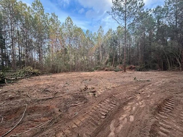 8 Acres | Magnolia, MS