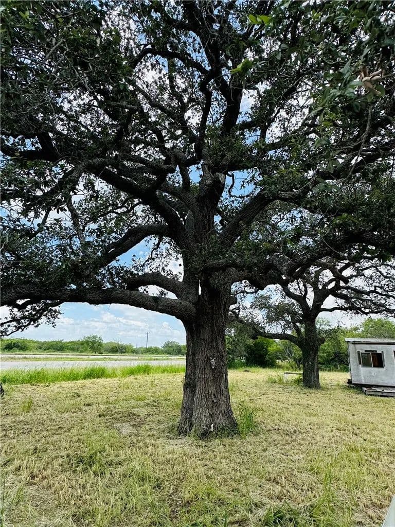 Property from 0 County Road 623 & 624 - KW - land for sale