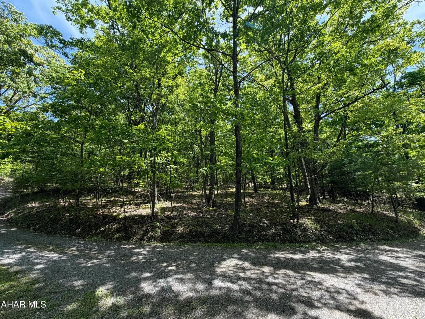 Property from 0 Alpine Lane - KW - Altoona, Pennsylvania, 16601