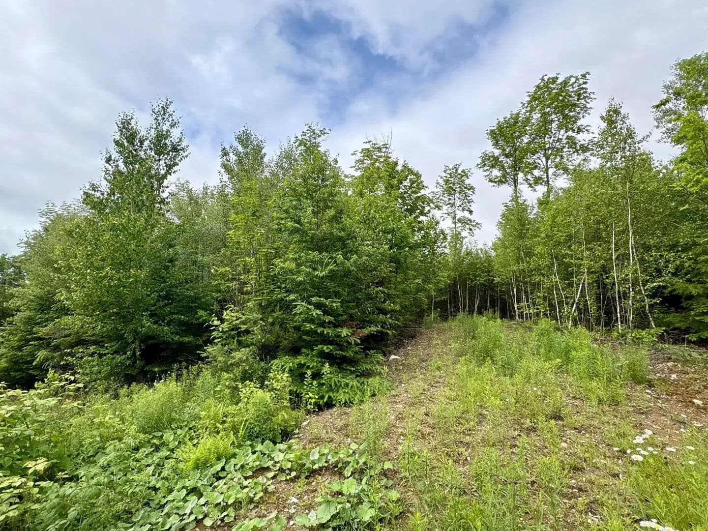 1.05 Acres of Land for Sale in Lee, ME - Lee, Maine, 04455