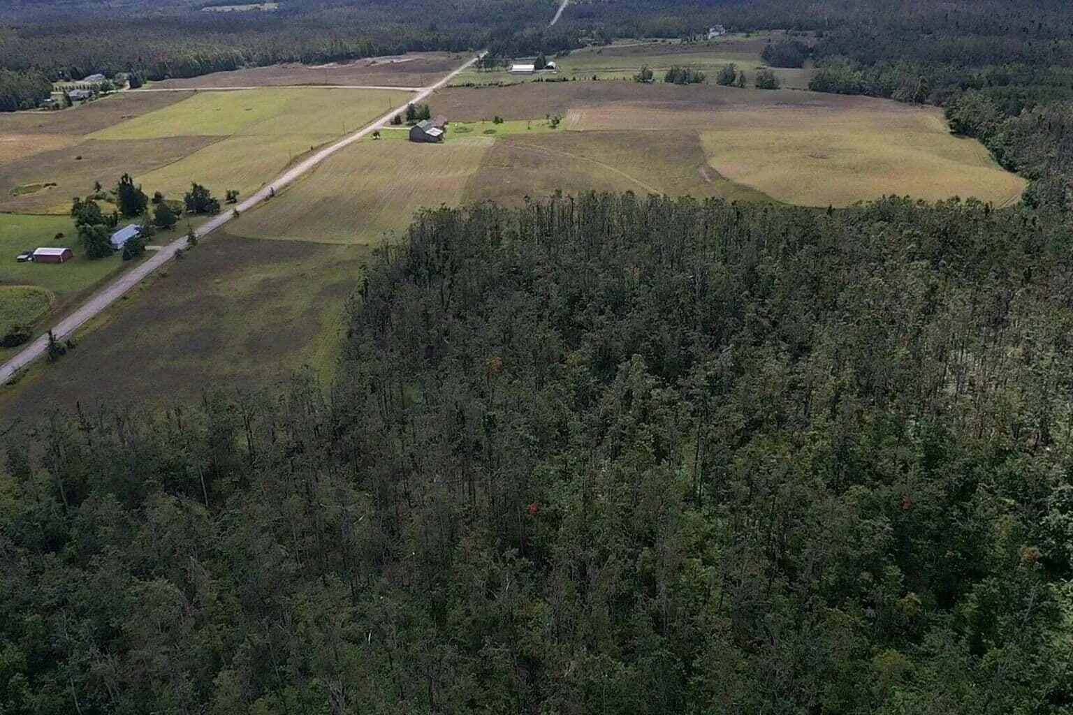 Property from V/L 40AC Goslow Road - KW - Gaylord, Michigan, 49735