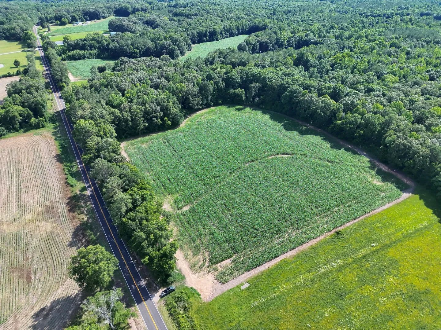14.98 Acres in Hardeman County, TN - Hickory Valley, Tennessee, 38042