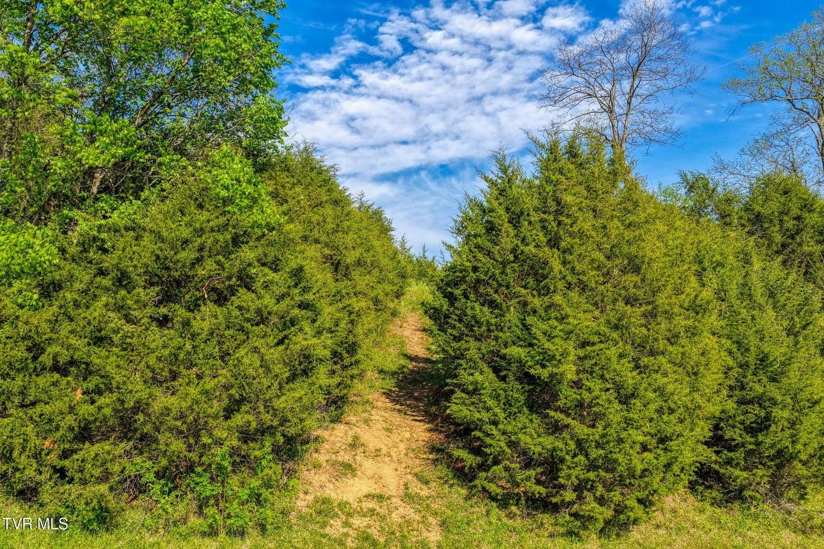 Property from Tbd Cloud Creek Road - KW - Rogersville, Tennessee, 37857