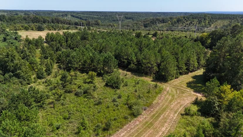 389 Acres of Timberland & Hunting Land for Sale in Selma, AL