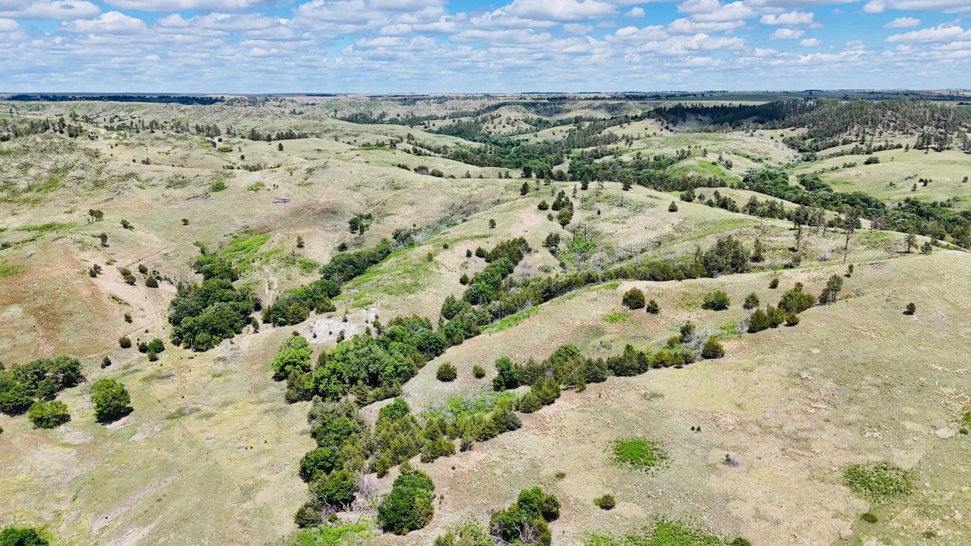 Butte Views Wildlife Gem - Norden, Nebraska, 68778