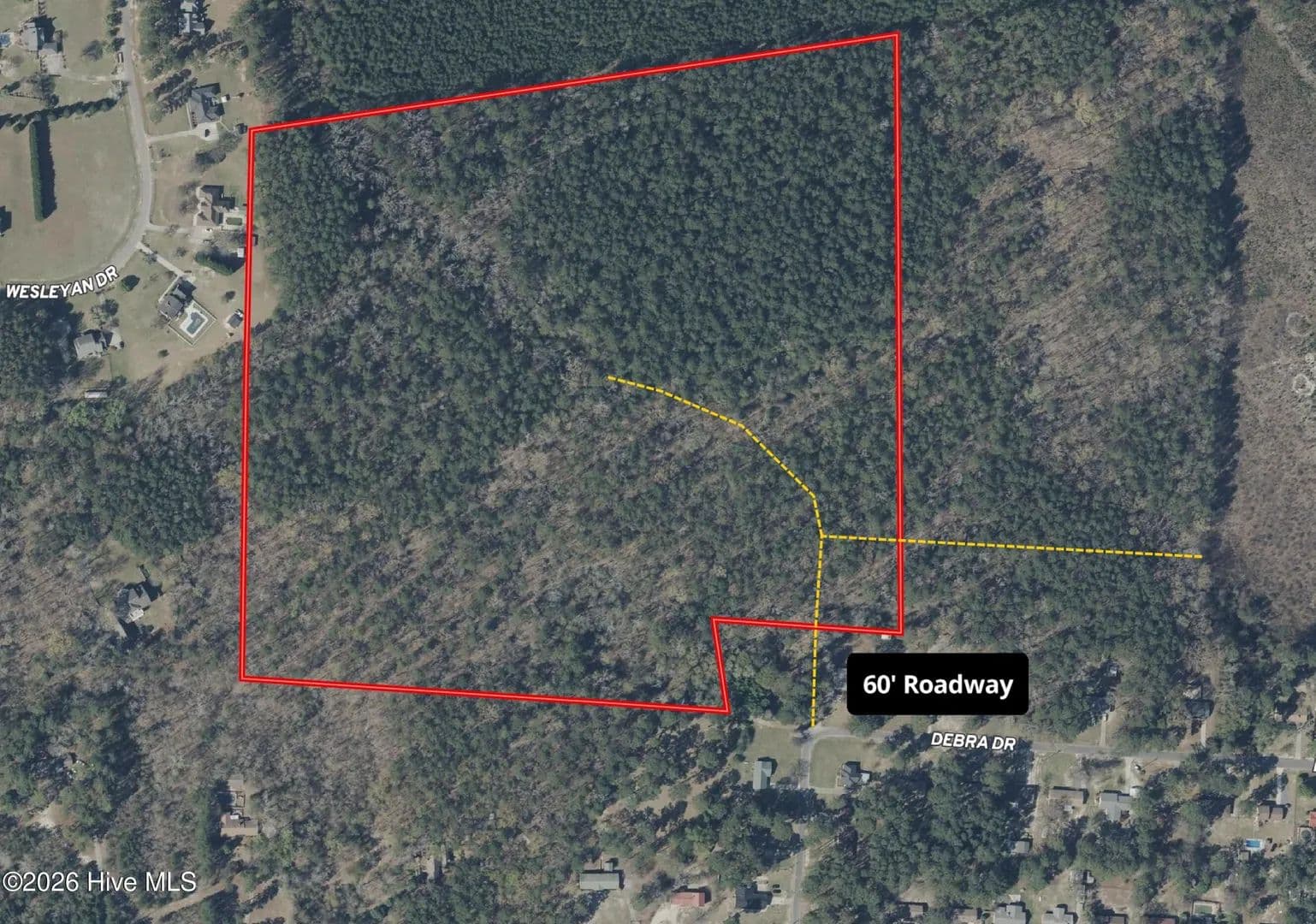 44.17 Acres of Land for Sale in Laurinburg, NC - Laurinburg, North Carolina, 28352