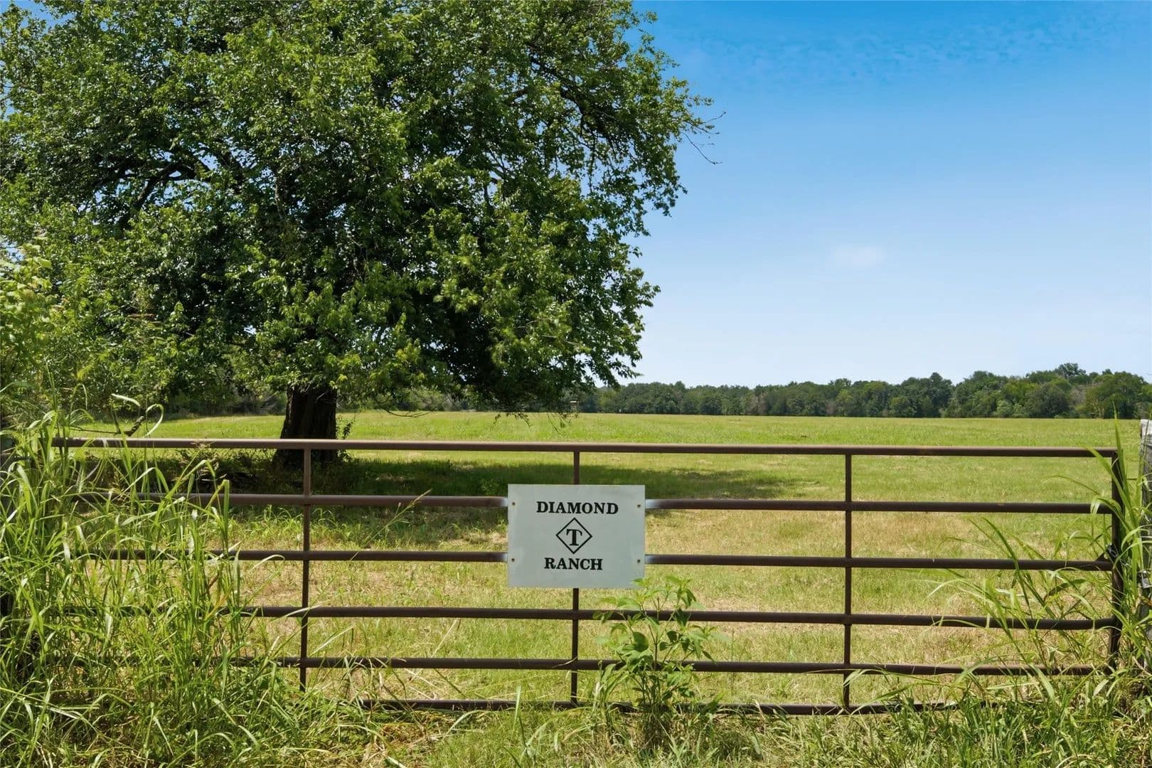 35.3 Acres of Land for Sale in Groesbeck, TX - Groesbeck, Texas, 76642