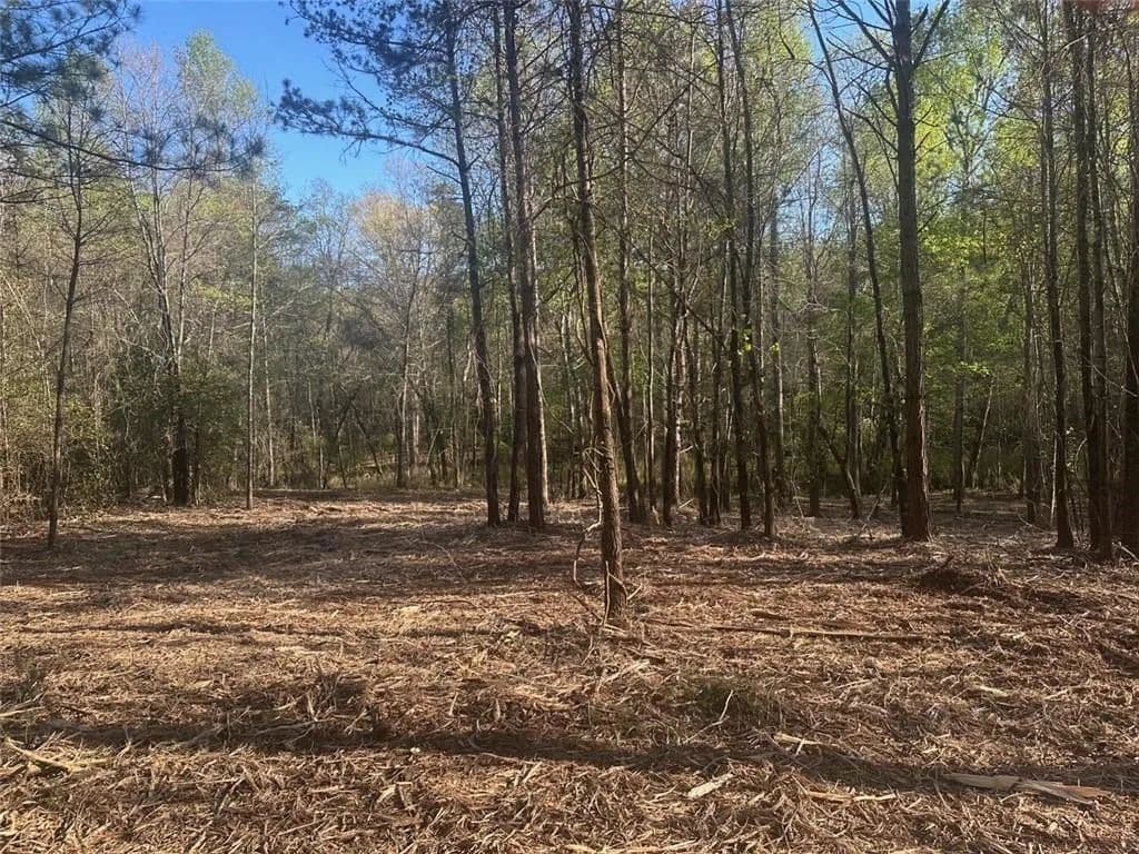 Property from 00 Lee Mashburn Road - KW - Dahlonega, Georgia, 30533