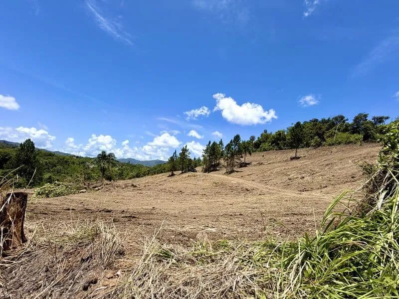 24683 Acres of Land for Sale in Cidra - Puerto Rico