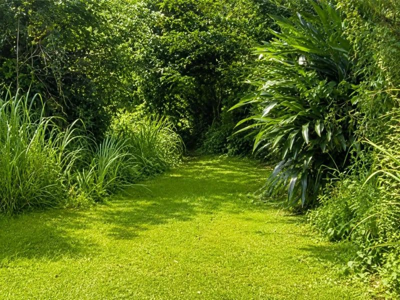 19691 Acres of Land for Sale in Guayama - Puerto Rico
