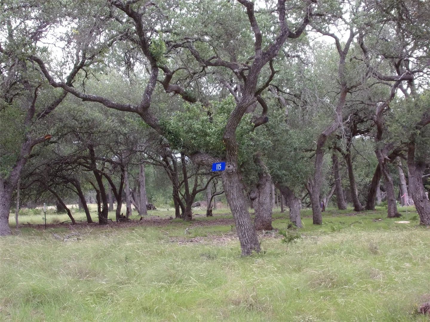 2.32 Acres of Land for Sale in Blanco, Texas - Blanco, Texas, 78606