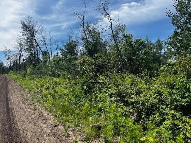 Property from Parcel 2 Nelson - KW - Idlewild, Michigan, 49642
