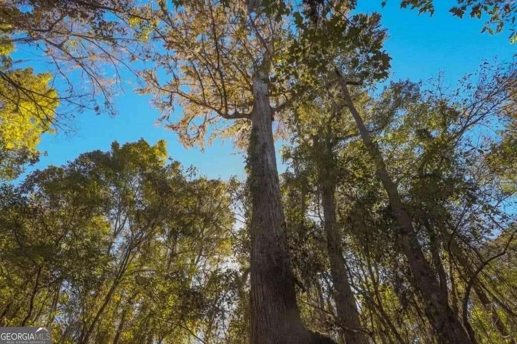 105 Acres of Land for Sale in Millen, Georgia - Millen, Georgia, 30442