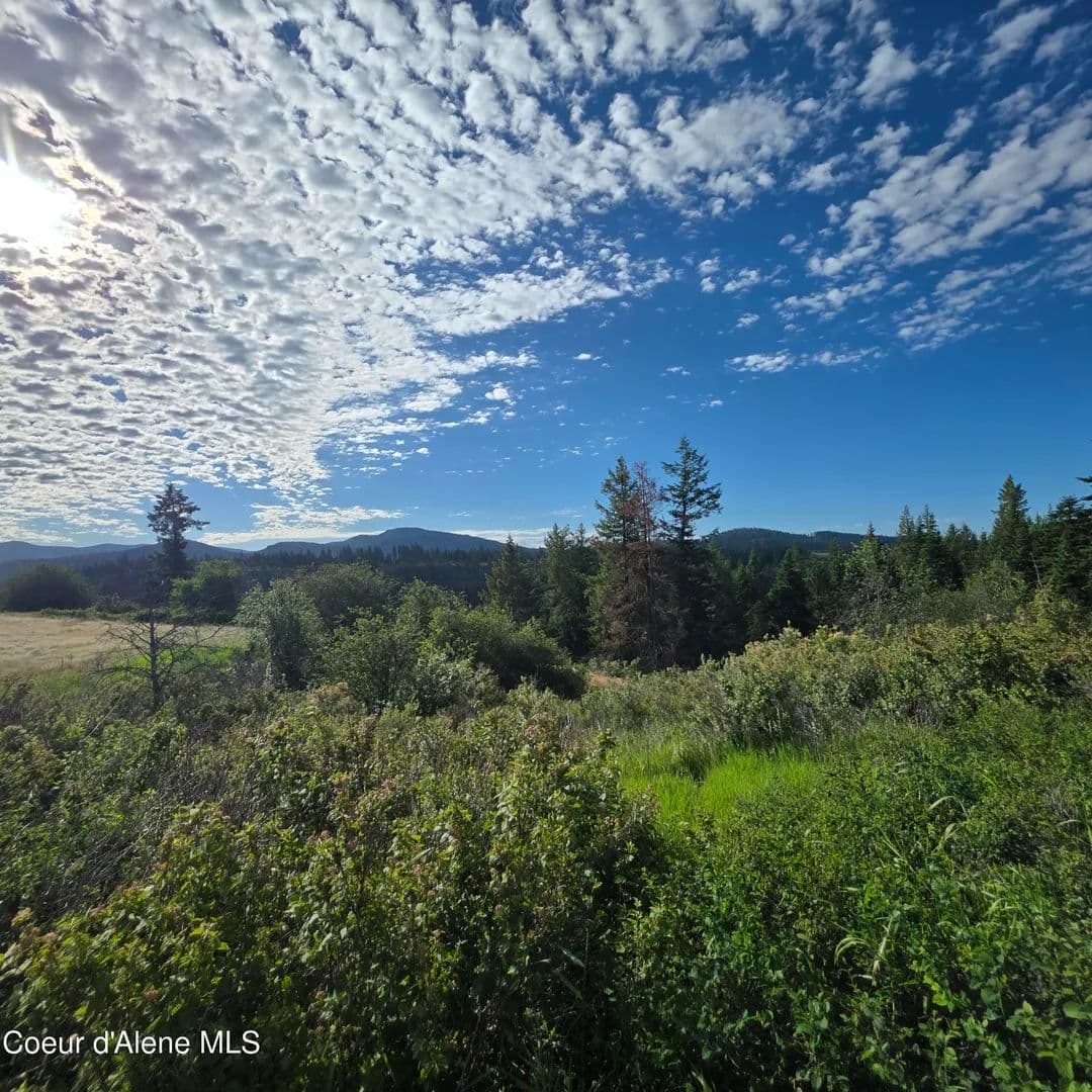 19.82 Acres of Land for Sale in Harrison, ID - Harrison, Idaho, 83833
