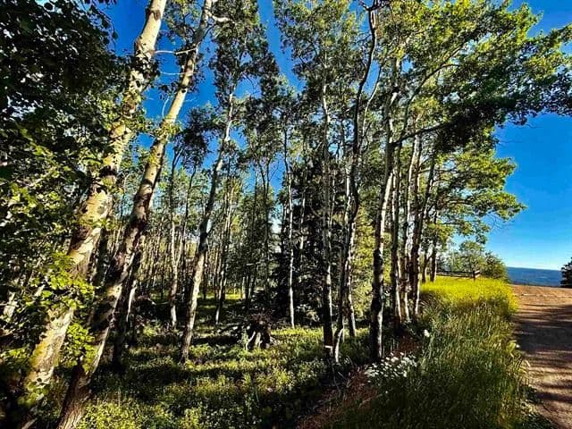 Vacant Land (0-10 Acres) in Lead - land for sale