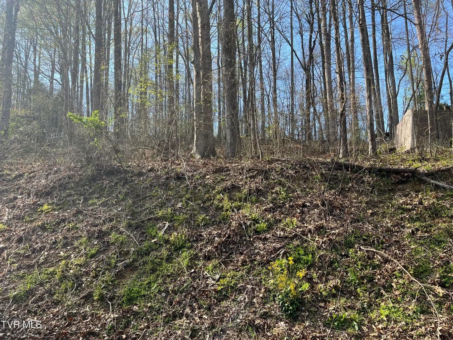 Property from Tbd Wedgewood Road - KW - Big Stone Gap, Virginia, 24219