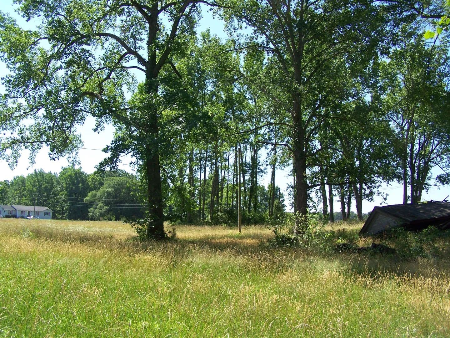 Land -Agricultural (Not Zoned) in Newsoms - Newsoms, Virginia, 23874