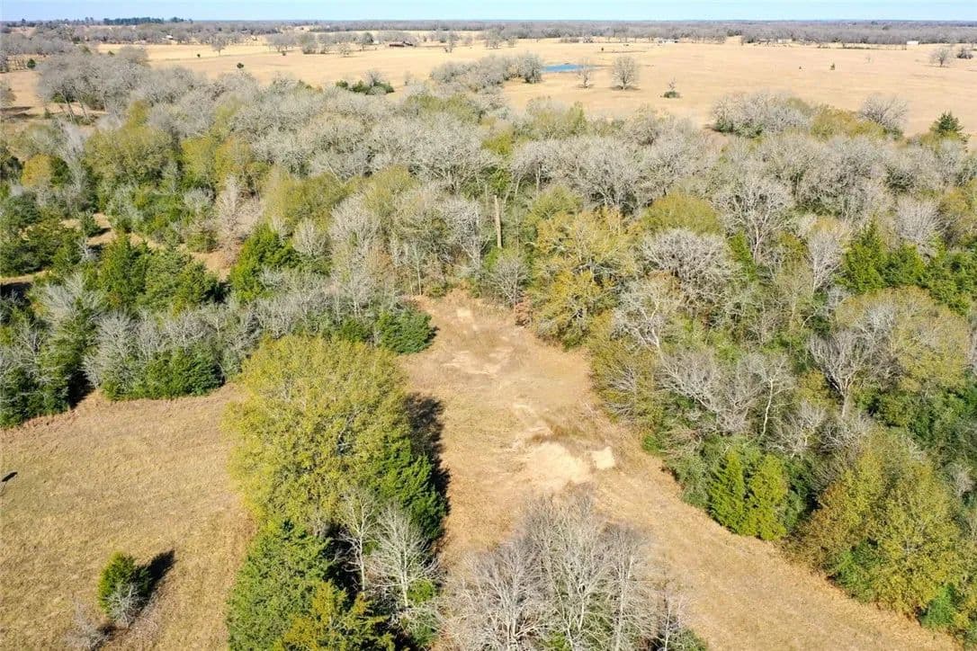 5 Acres of Land for Sale in Madisonville, Texas - Madisonville, Texas, 77864