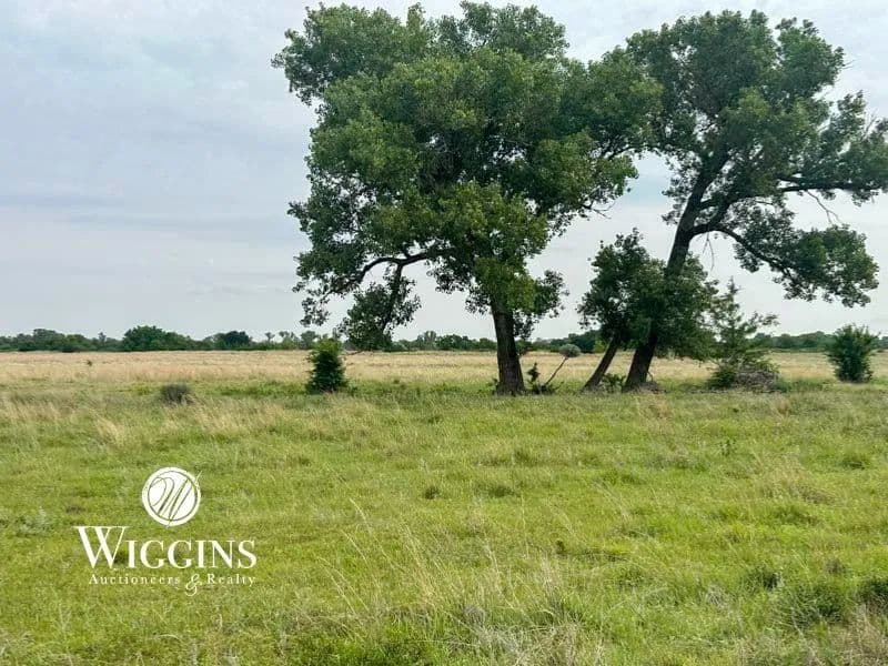 7/14 - 236 +/- Acres | Native Grass Mix | Good Livestock Land w/ Recreational | Cherokee, Alfalfa Co., OK - Cherokee, Oklahoma, 73728