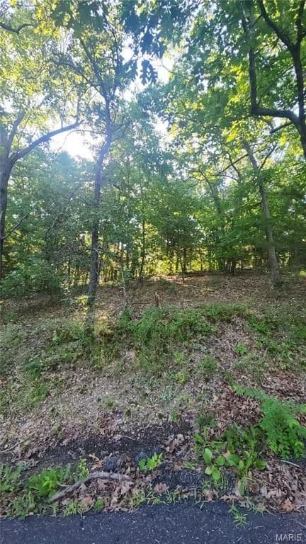 Property from lot 14 E Forest Lane - KW - land for sale