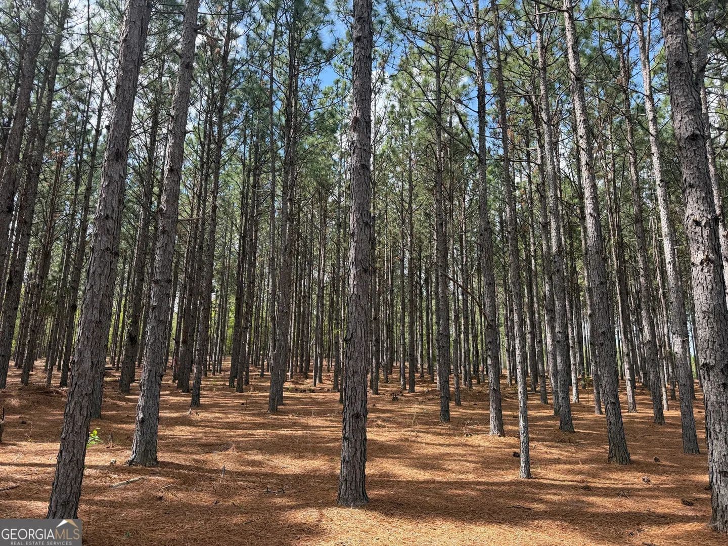 Property from 09 Barge Rd - KW - Lumpkin, Georgia, 31815