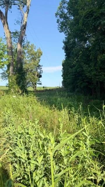Property from 1350 Norwood Mt. Zion Road - KW - Science Hill, Kentucky, 42553