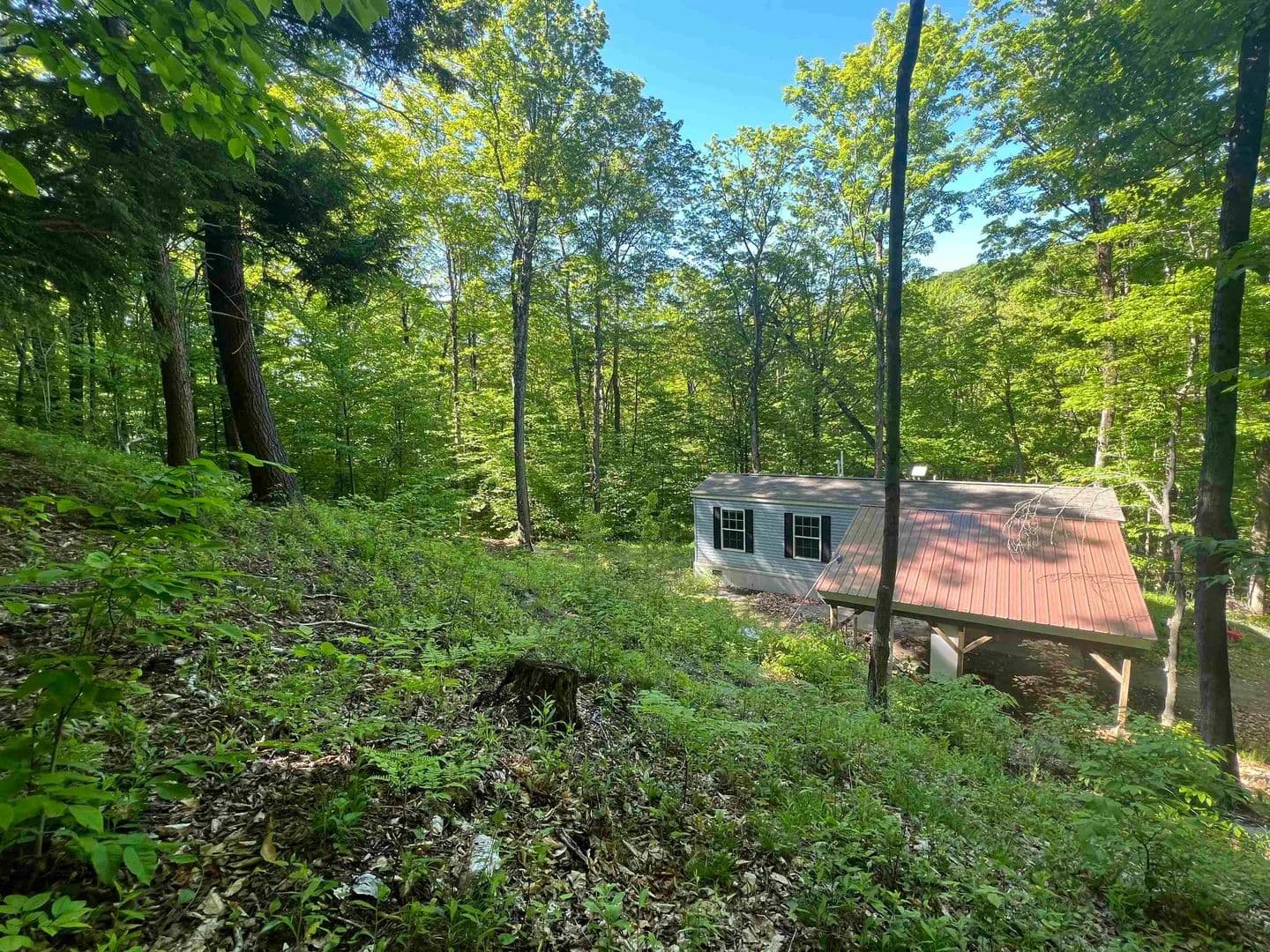 Property from 1190 Long Hill Road - KW - Woodstock, Vermont, 5071