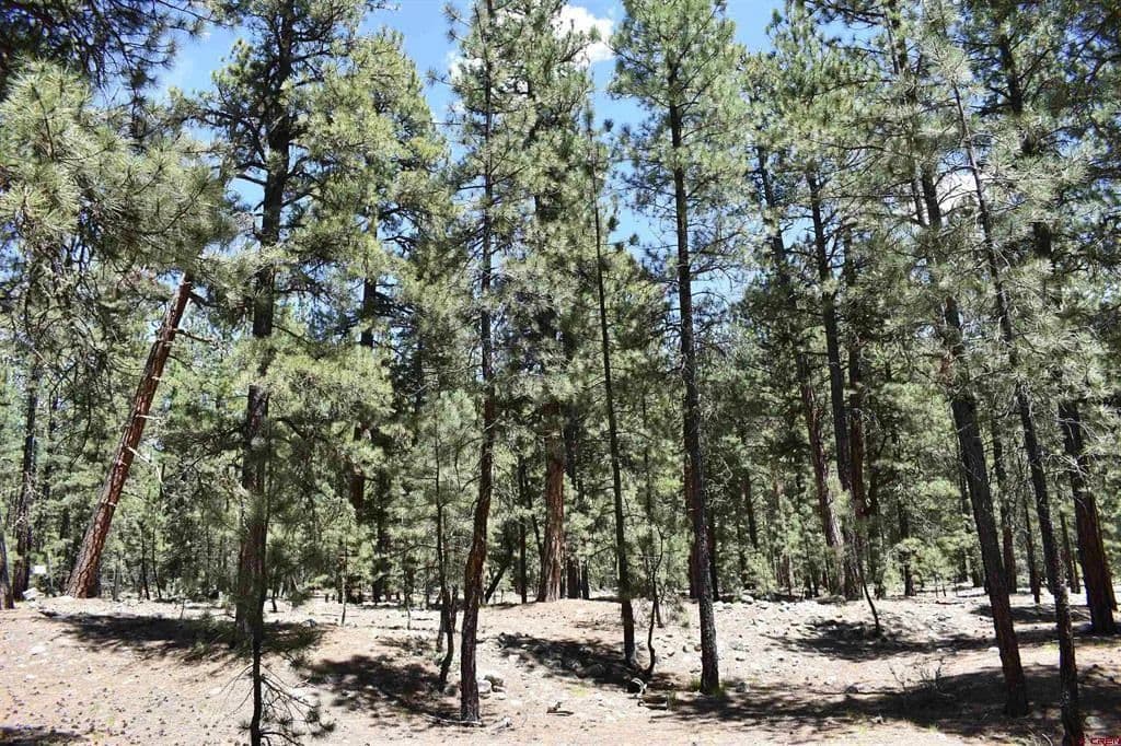 Property from 80 Ranch Road - KW - , Colorado, 81122