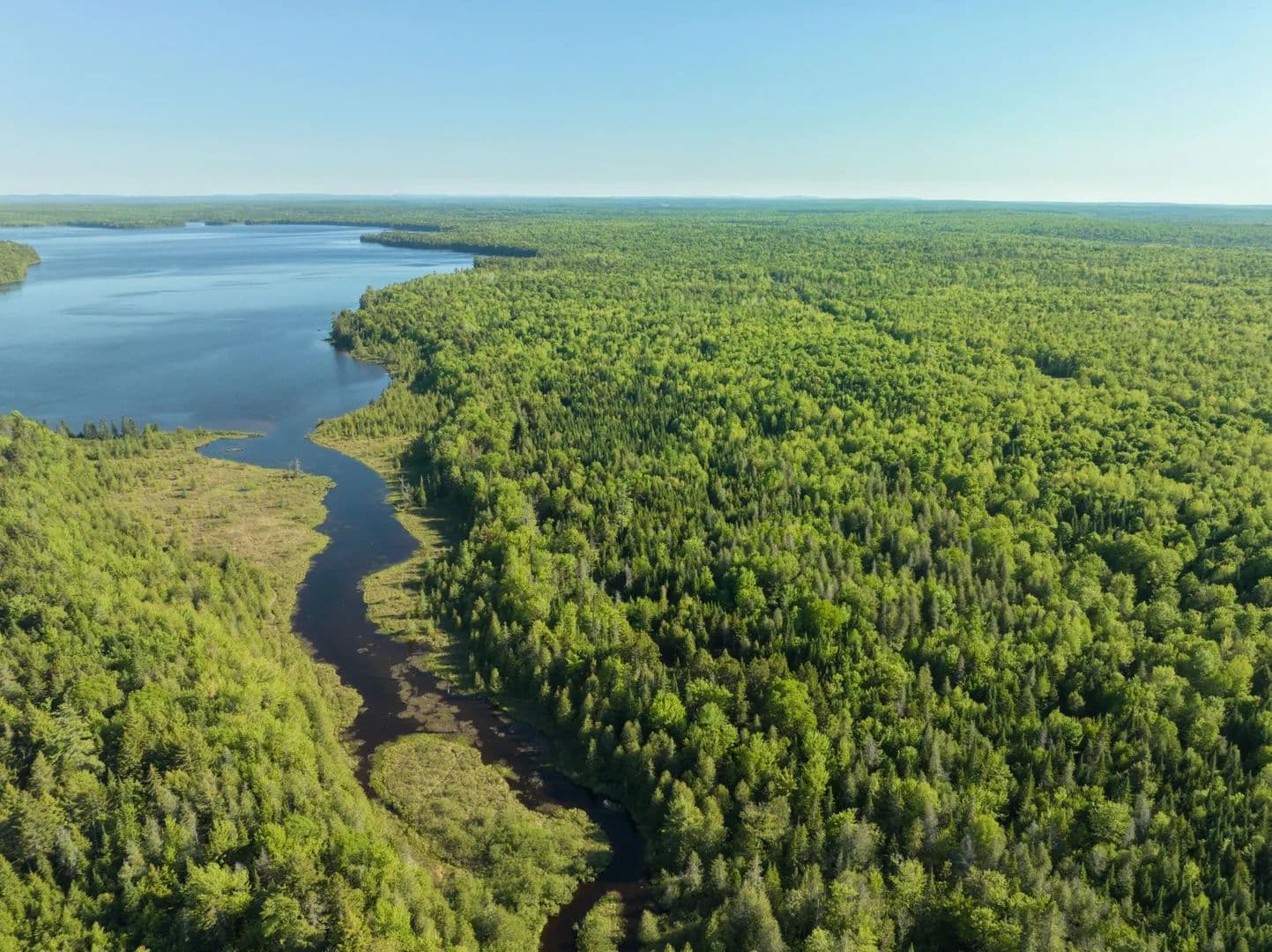 825 Acres of Land for Sale in Aroostook County, Maine - Maine, 04497