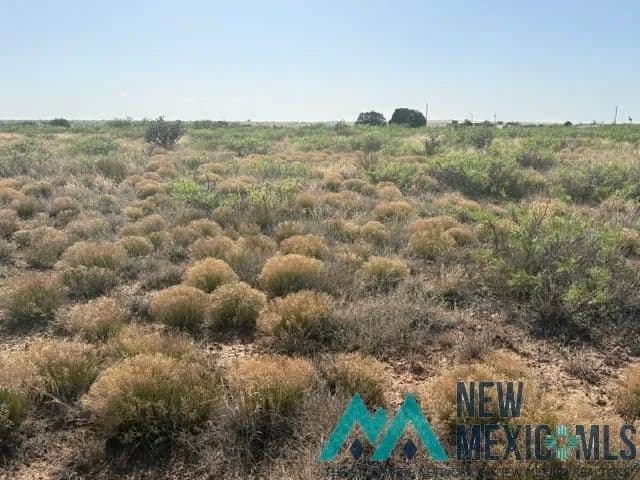 Property from Lot 48 State Road 203 - KW - Lake Sumner, New Mexico, 88119