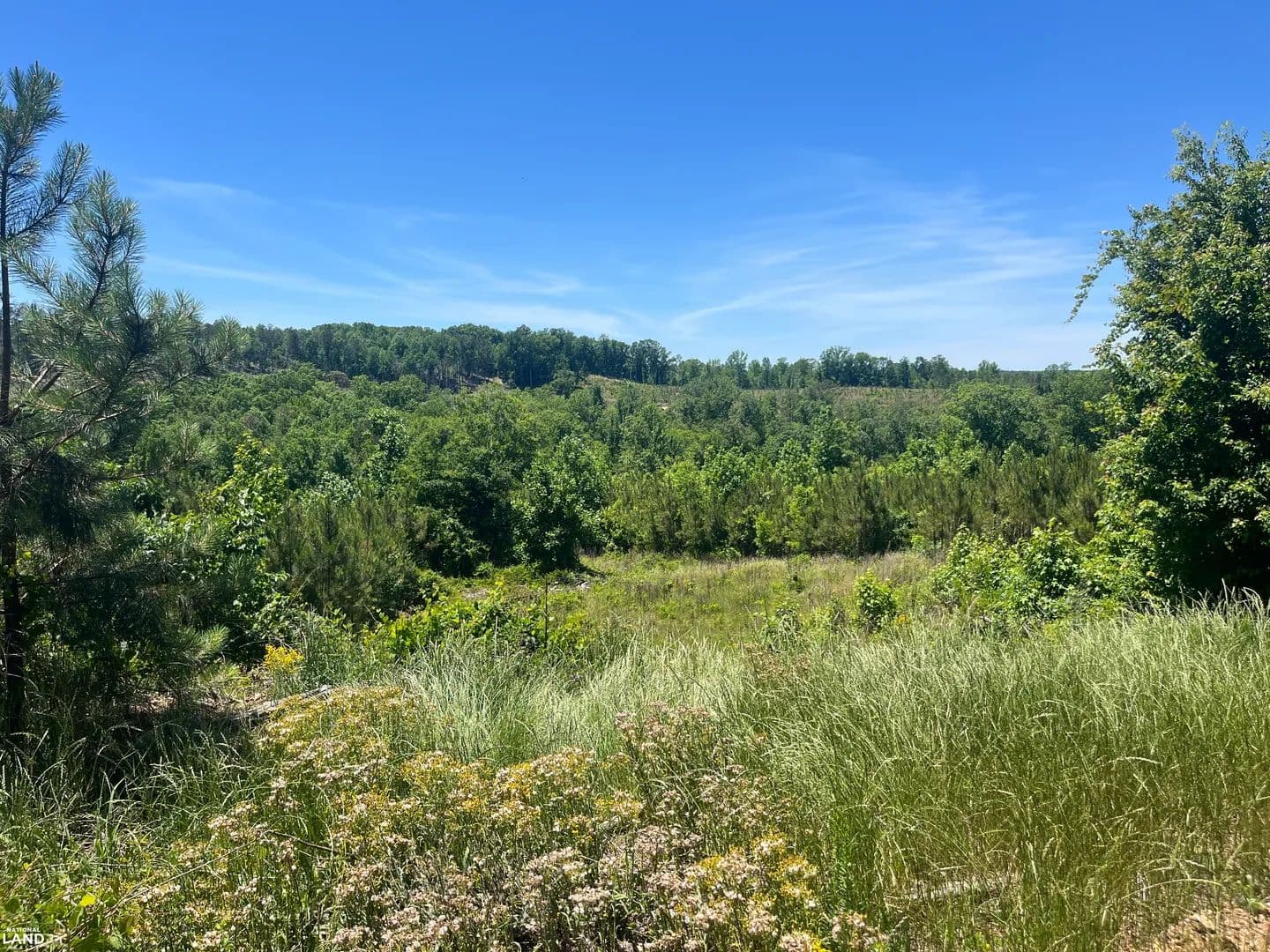Hamilton Homestead Property - Hamilton, Alabama, 35570