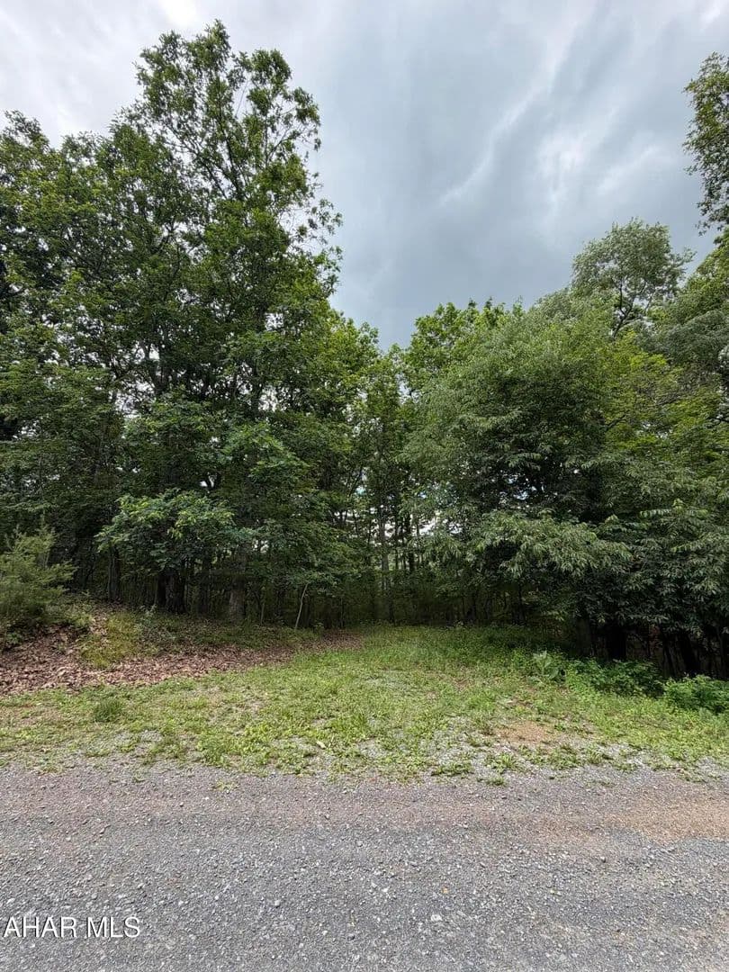 Property from 0 Echo Heights Drive - KW - Huntingdon, Pennsylvania, 16652