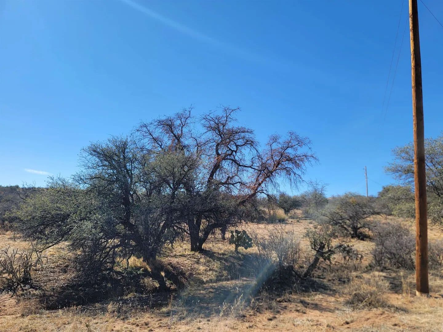 Vacant Land in Silver City - land for sale