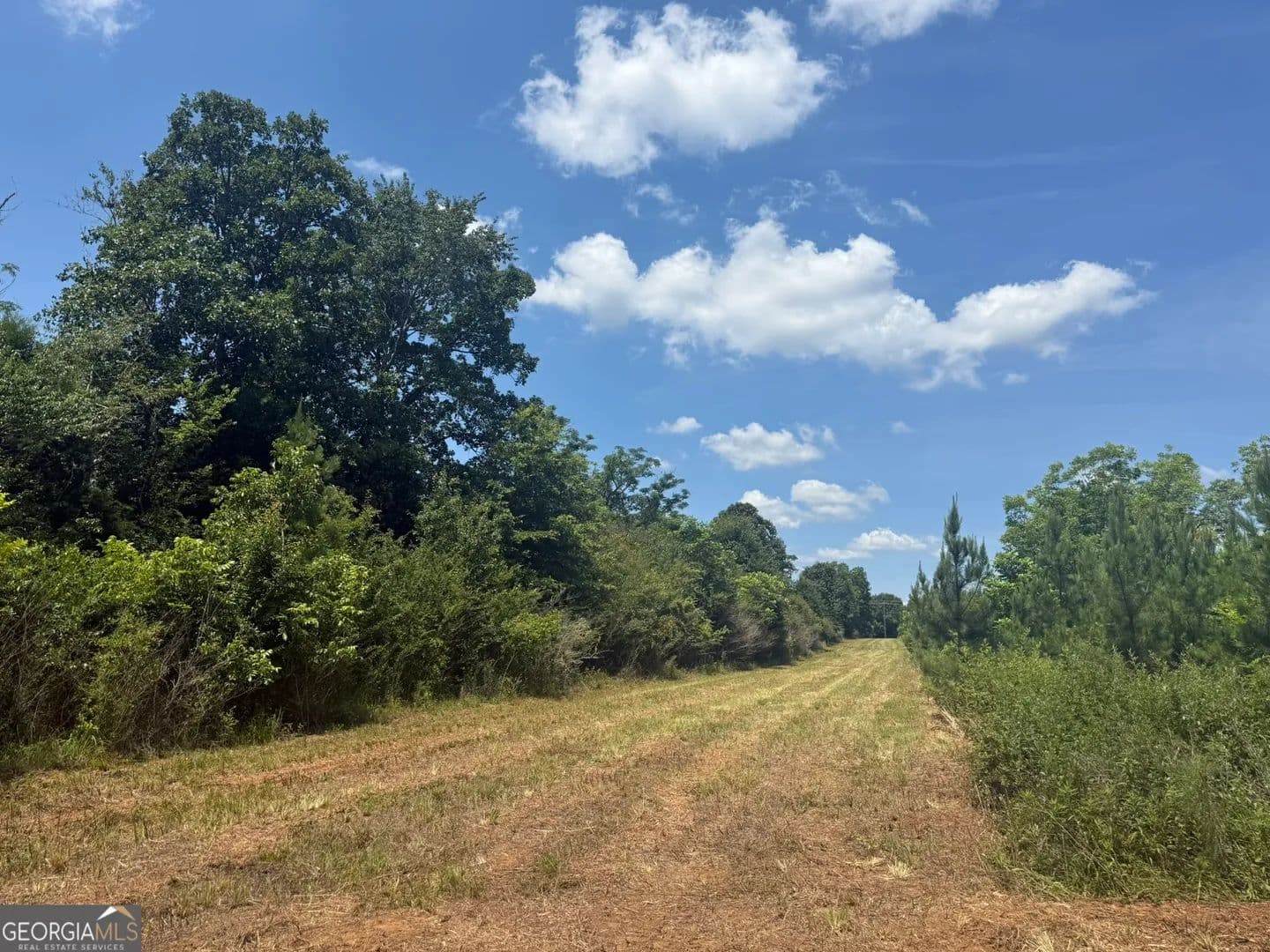 Property from 004 Fountain Bridge Rd - KW - Cuthbert, Georgia, 39840