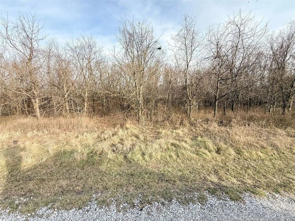 Lots & Land-Other in Sulphur Springs - Sulphur Springs, Arkansas, 72768
