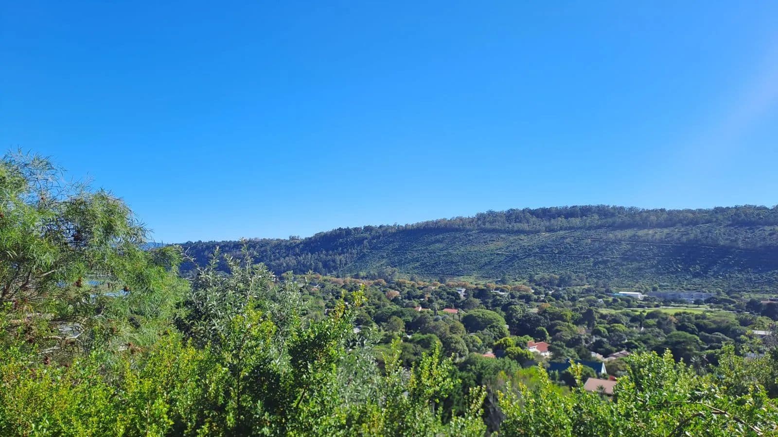 1335 Acres of Land for Sale in Sedgefield, Western Cape - land for sale