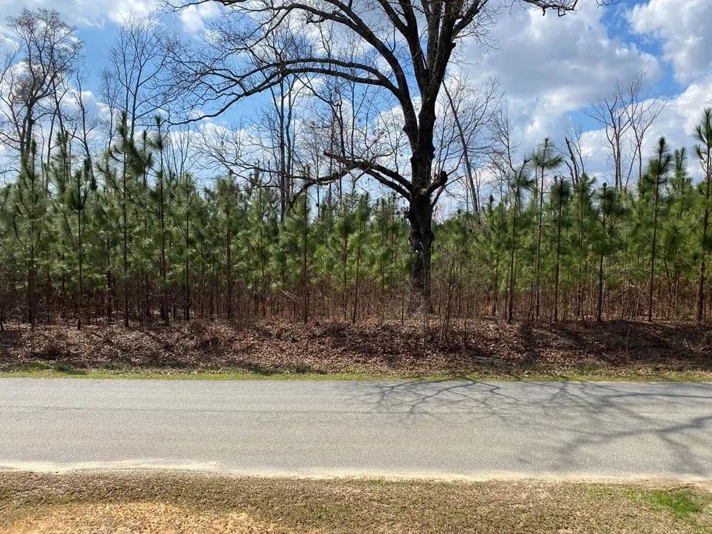 Property from 0 Baker Road - KW - Waverly Hall, Georgia, 31831